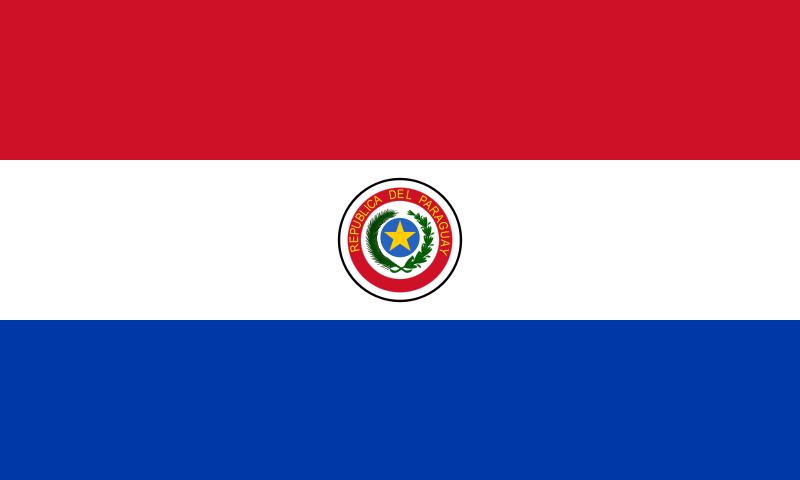 Paraguay-bandiera Mostra Internazionale d'Arte"Italia y Paraguay: Miradas Reciprocas". Asunción, Paraguay. Paraguay-bandiera