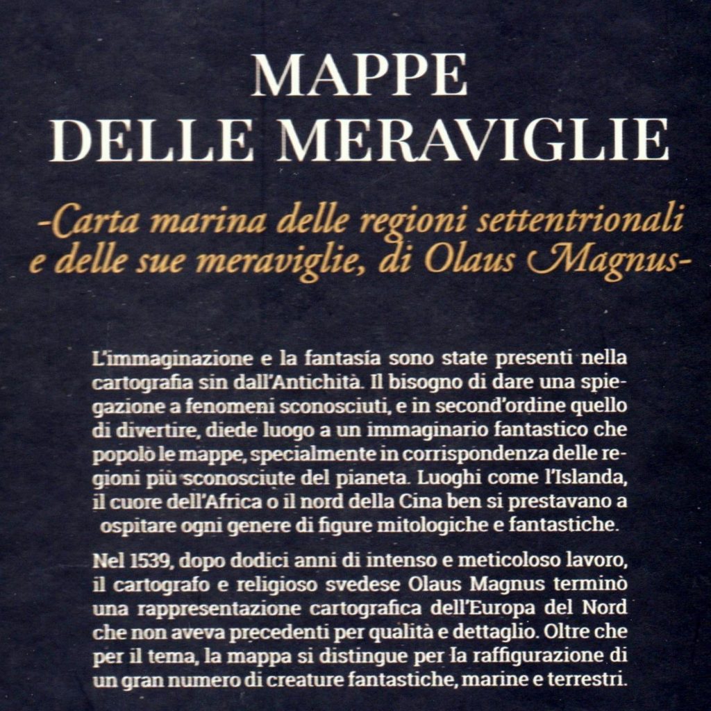 MAPPA-OLAUS-doc-1024x1024  