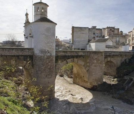 PUENTE-DE-LA-VIRGEN-PINOS-PUENTE-003-450x450-1-450x381  